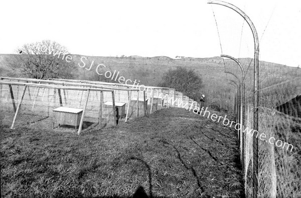 SILVER TOM FARM BALLYFEA GENERAL VIEW OF KENNELS